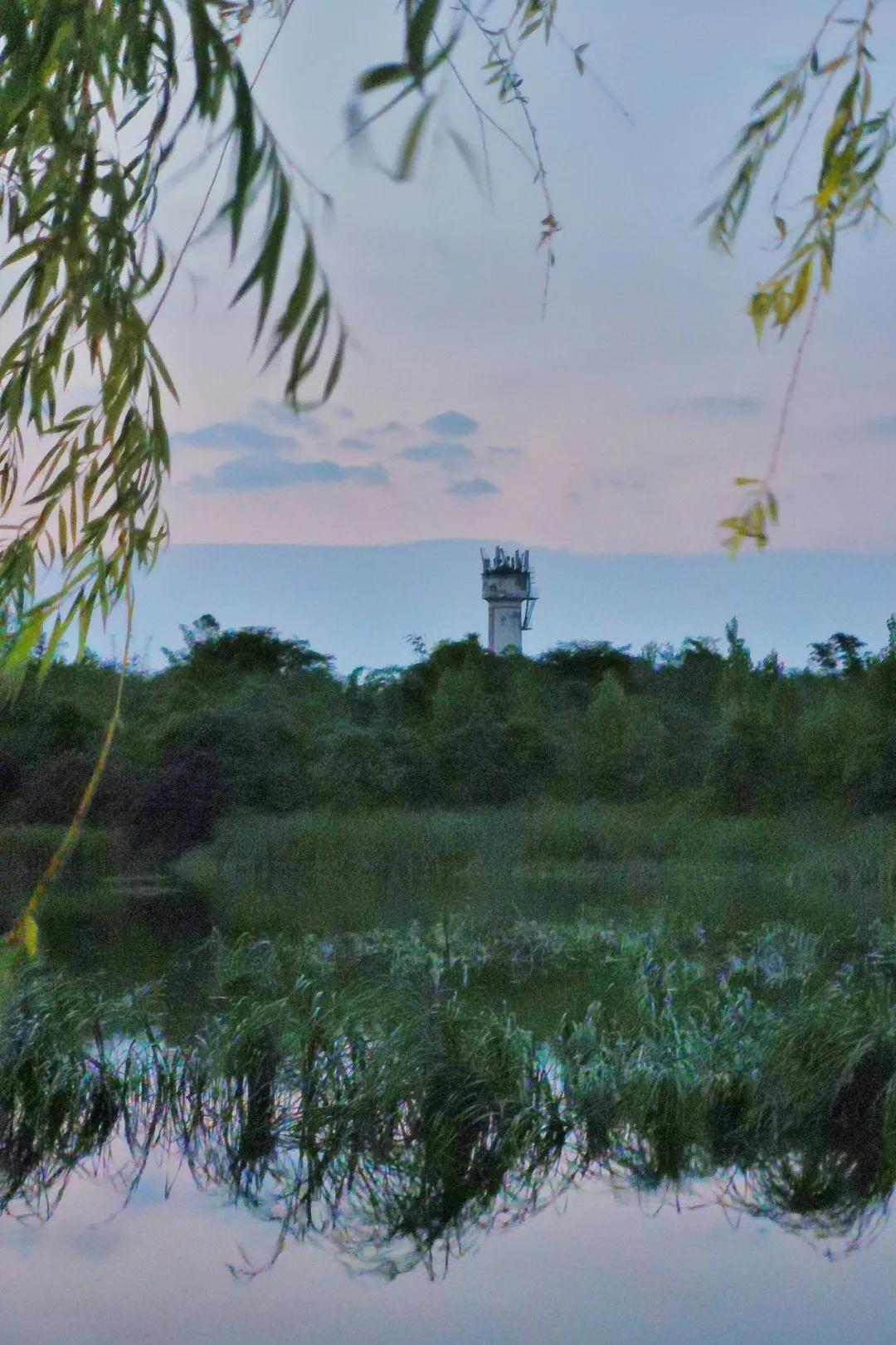 成都拍了拍你，一亿成都粉get心动讯息