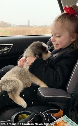 6岁脑瘫小女孩坚持治疗5年,5岁小女孩脑瘫努力走路