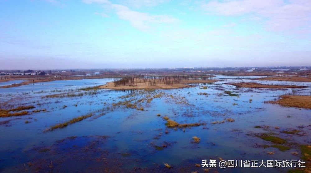 扬州瘦西湖最新旅游消息,扬州瘦西湖最美公园