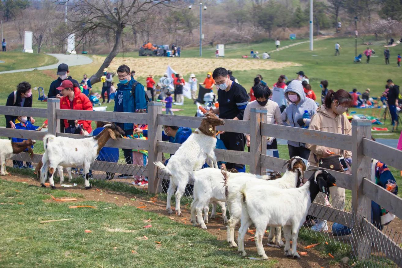 三寰牧场启动春耕节，别样活动促进后疫情时期文旅经济复苏