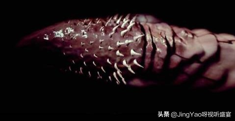 雄性：猫、虎除了舌头，还有一个器官长倒刺！连蛇也有不可思议！