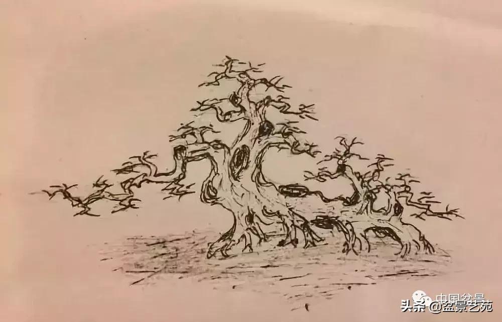 鏈存爲寰楀鐩嗘櫙,椤剁骇鏈存爲鐩嗘櫙娆h祻