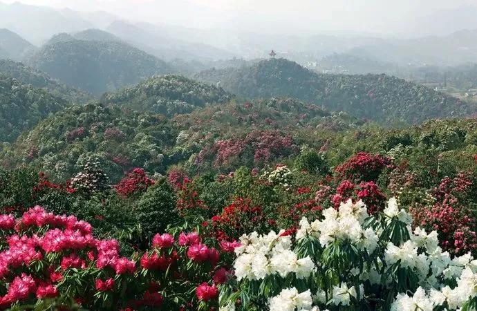 江思恩：与山为邻