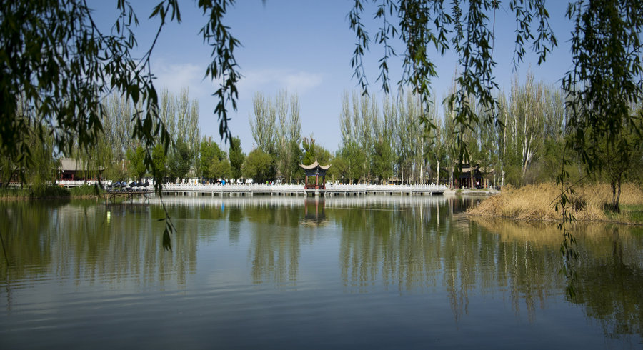 兰州小学生班会,记忆最深的一次班会