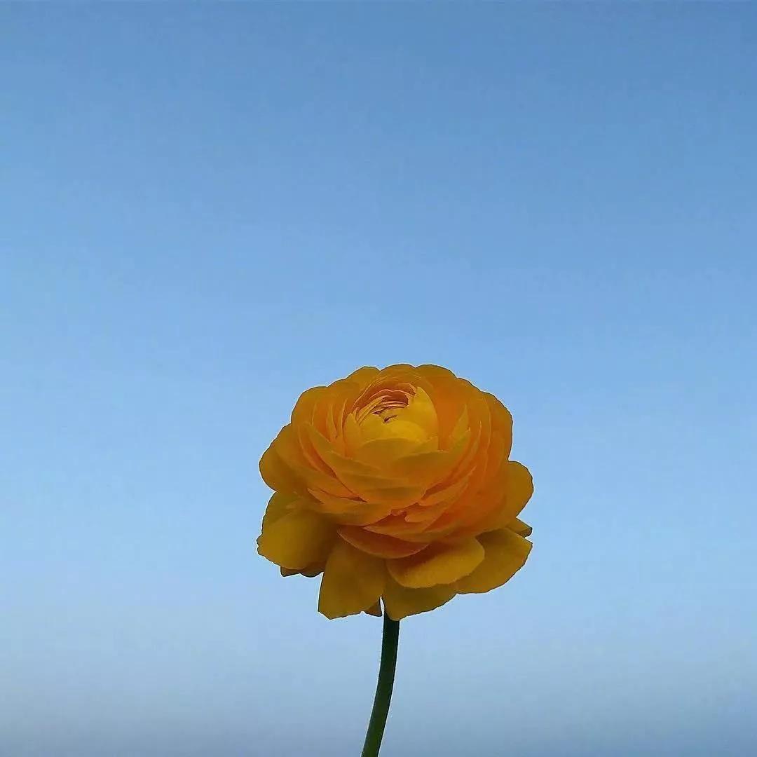 愿岁月静好度细水流年图片,惟愿岁月静好安度细水流年