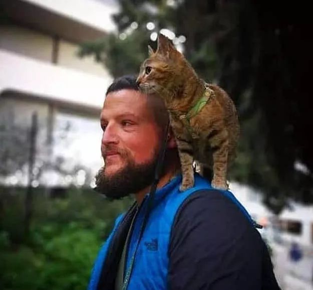 从来没出过家门的猫咪可以出门吗,从来没出过门的猫咪能带出去玩吗