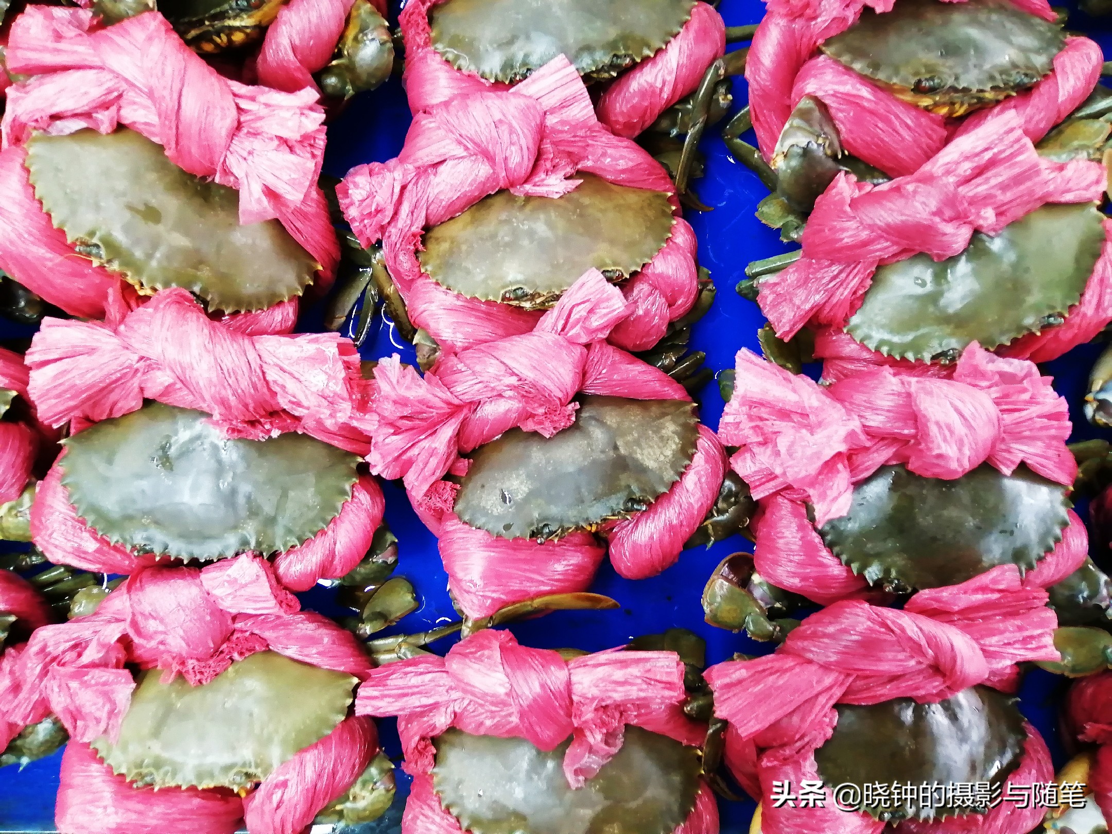 岘港最好吃的海鲜餐厅,越南旅游攻略岘港海鲜