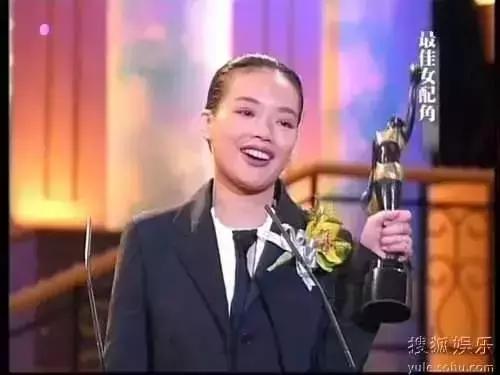 舒淇有什么成就,舒淇的演艺之路