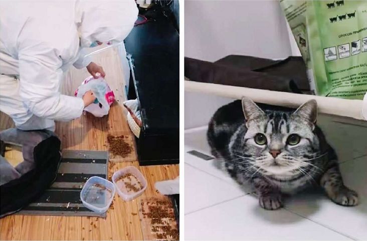 疫情下的武汉人的讲述,疫情下动人的武汉故事