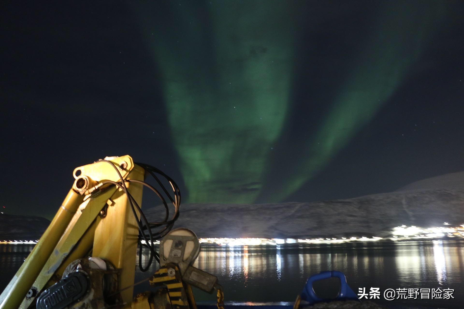 如何买到真正的大西洋鳕鱼,十大最正宗的鳕鱼