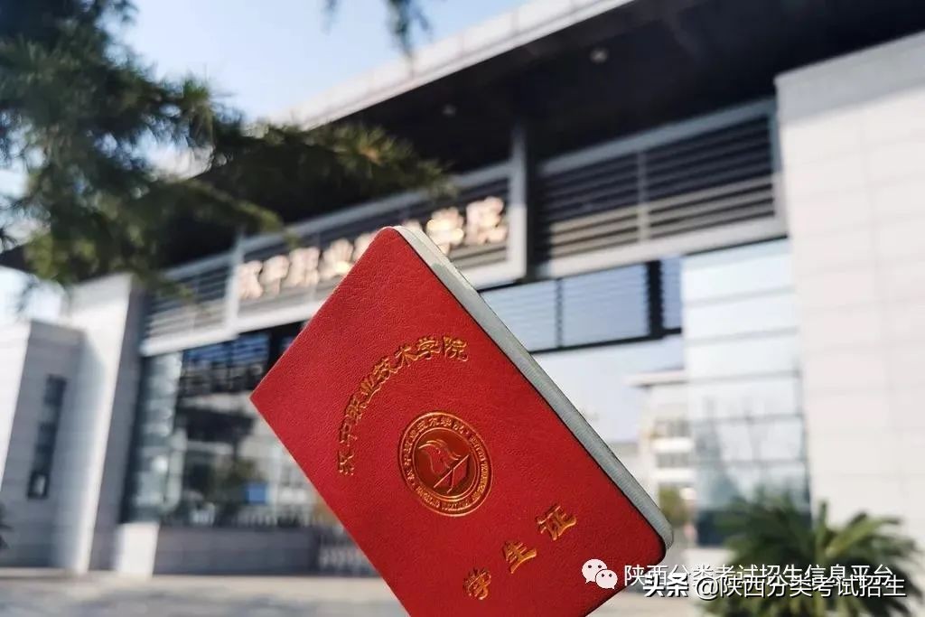 两汉三国,真美汉中|汉中职业技术学院