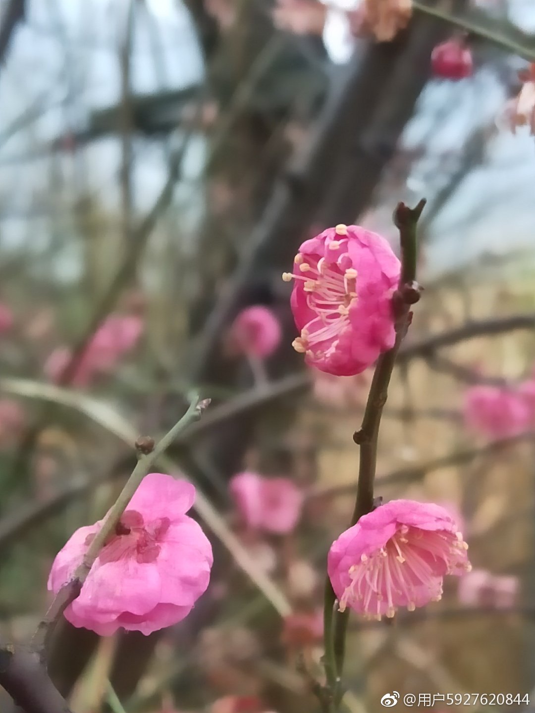 走过熟悉的那条街已不是以前的街,记忆中的那条街