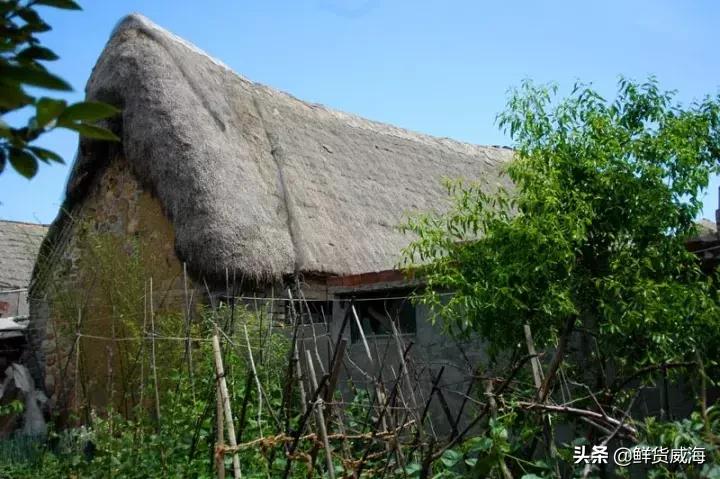 威海60岁免费景点,威海十大网红免费景点