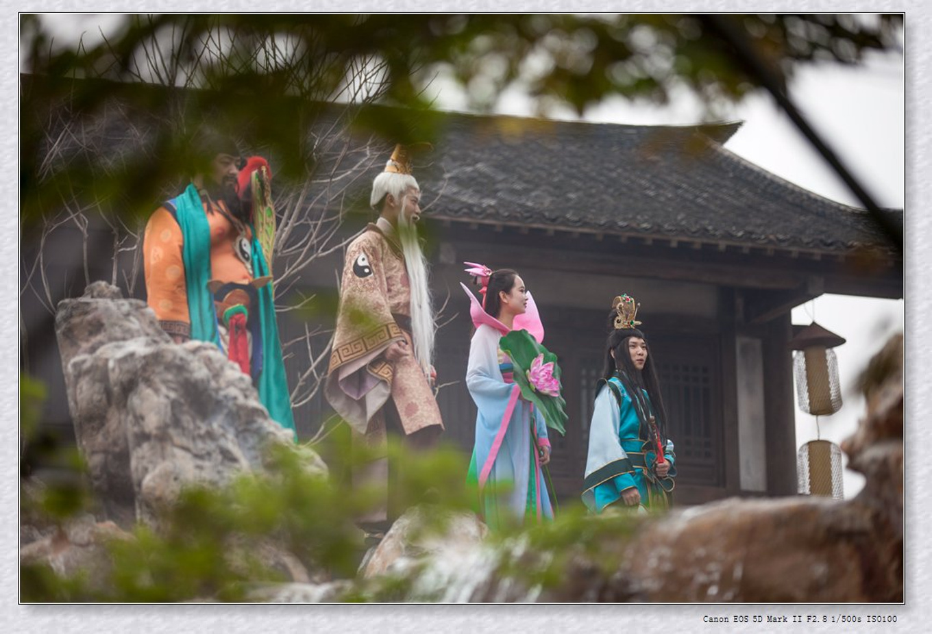 常州旅游东方盐湖城,骆驼之旅视频