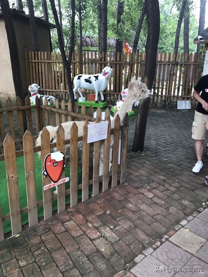 亲子游玩动物园地点推荐,假期亲子去哪玩