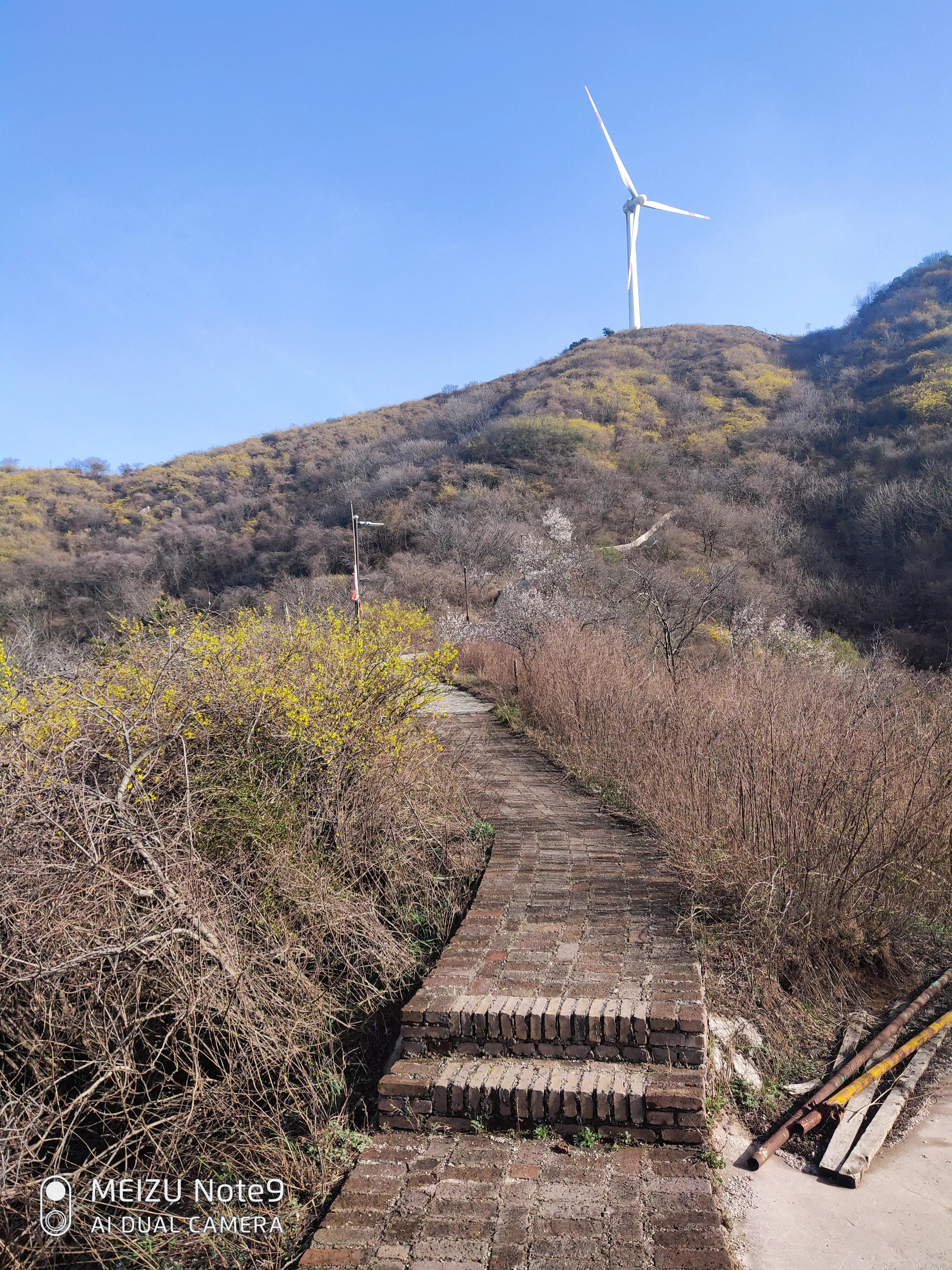 北人南渡体验桑海沧田