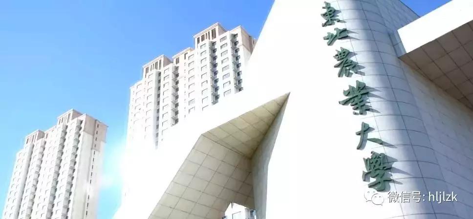 平常心东北农业大学,每日一校山东大学