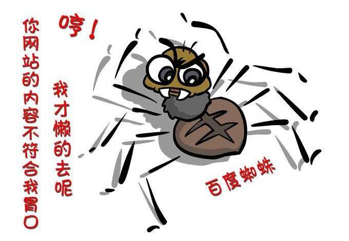 网站优化蜘蛛抓取有规则吗,seo蜘蛛爬行和抓取的原理