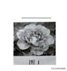 历年河南省物理中招试卷及答案,2019年河南省中考物理试卷答案