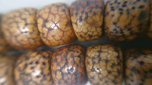 你的是不是老珠子,自己心里没点X数吗?