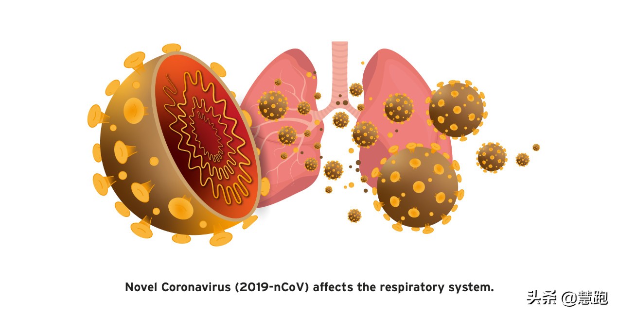 疫情严峻宅在家里怎么练？送给跑者5套不带重样的力量训练动作