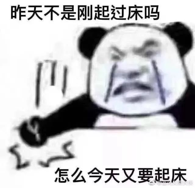 沙雕秃鹫,有头发和没头发抖音网红