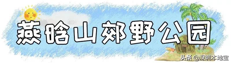 深圳100个免费景点,深圳免费100个景点