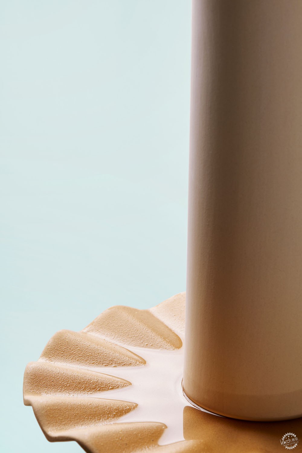 独居蜜蜂有哪些,独居蜜蜂