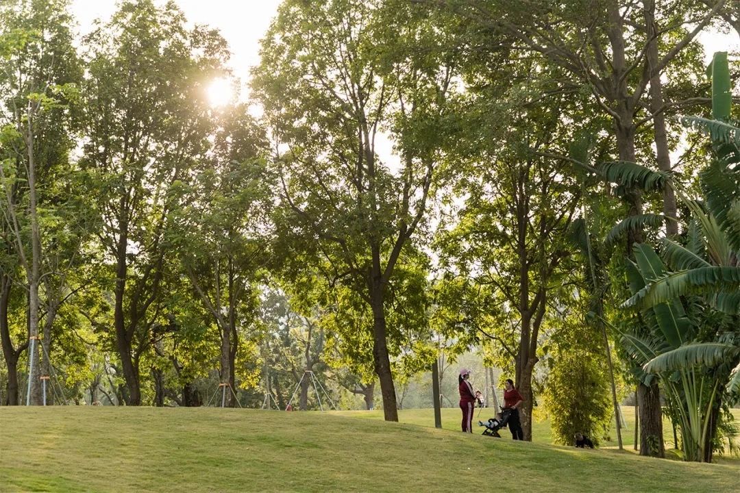 深圳周末浪漫好去处,深圳浪漫约会地点十个景点