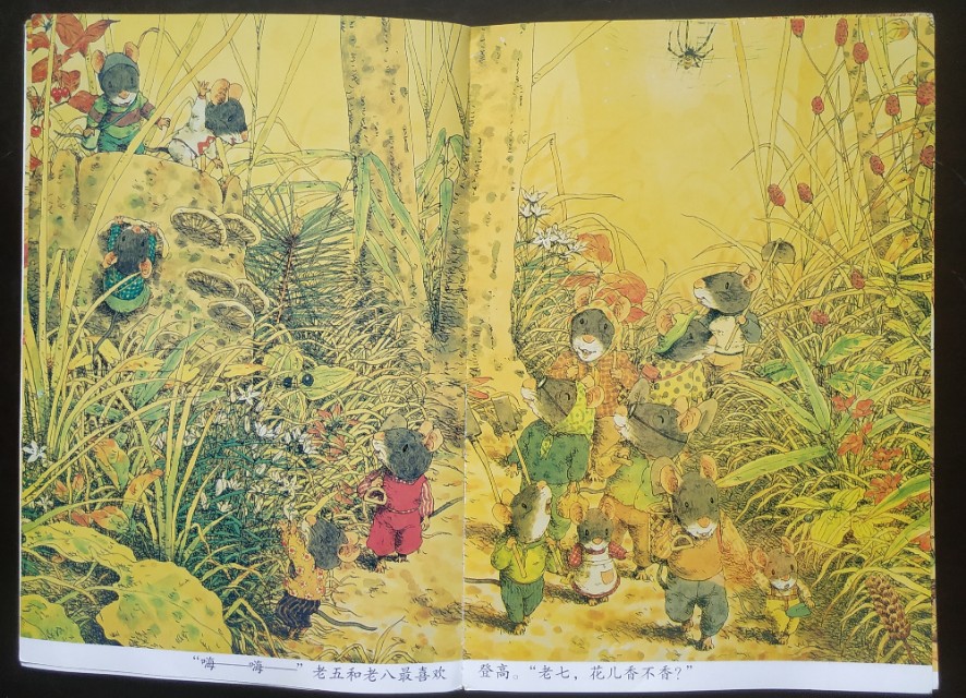 十四只老鼠绘本完整版,14只老鼠好书推荐