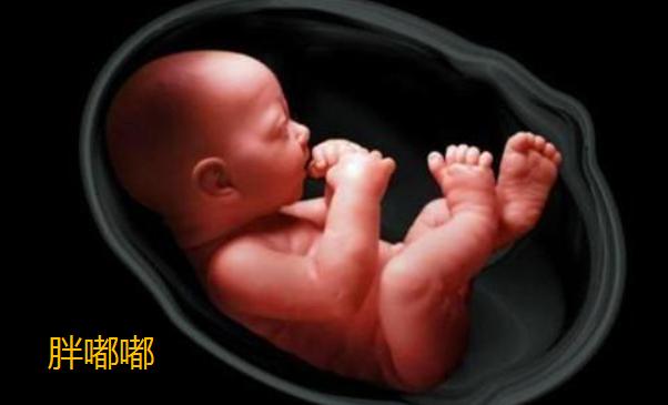 孕妇哪个阶段胖得最快,孕妈怎么才不会变胖