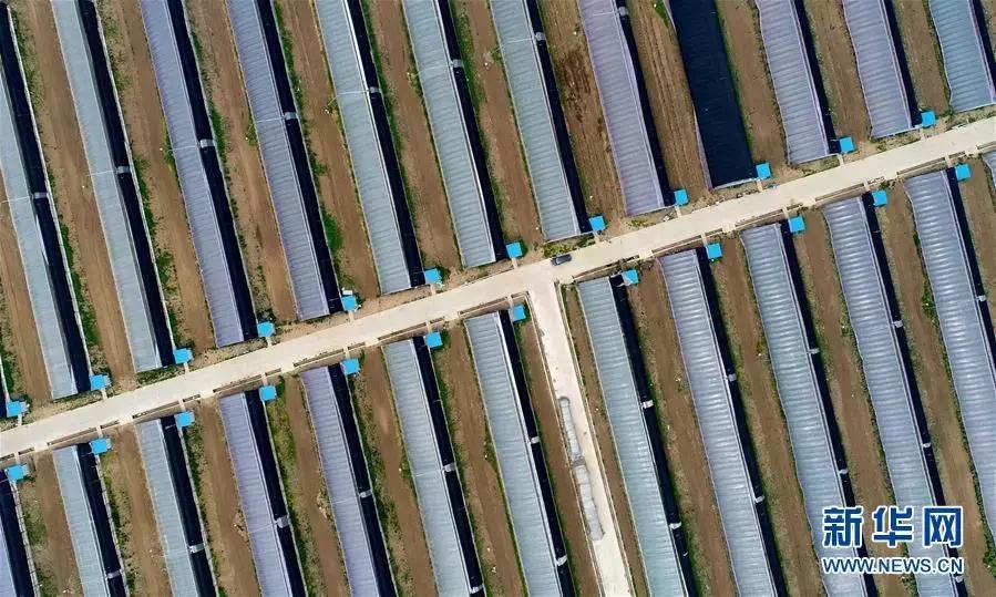 有颜值有气质才是乡村的新模样,既有颜值又有气质