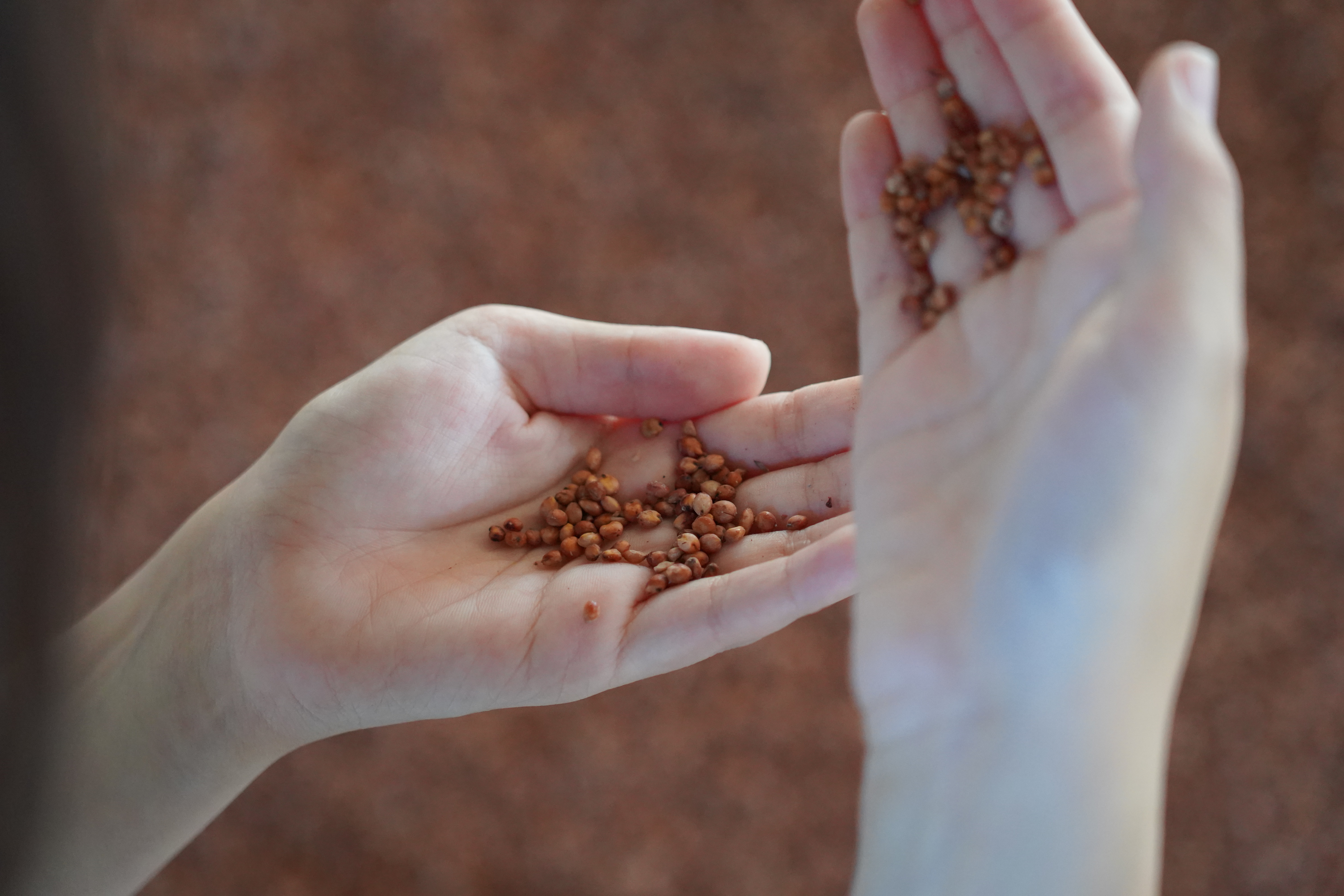 酱酒最好喝最便宜的是哪款酱香酒,想要买到好酱酒要认准这几点