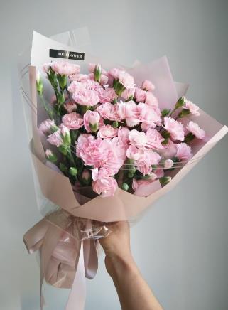 什么花适合送给妈妈除了康乃馨,送母亲的康乃馨花大全