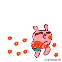 阳光体育节的超燃瞬间,阳光文化节方案