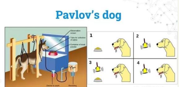 奖励制度对孩子好不好,鼓励孩子的奖励机制