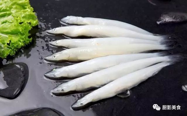 吃海鲜也要讲究时令,吃海鲜最佳的季节是什么时候