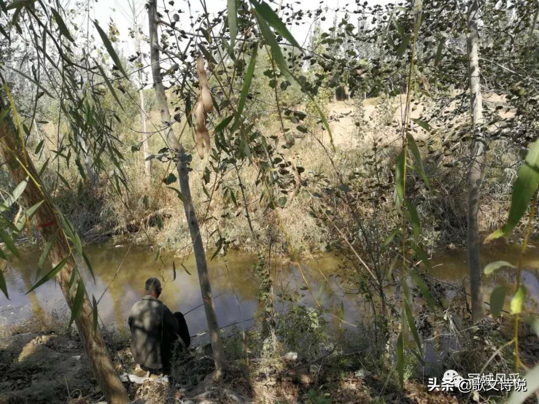 冠县贾镇高庄铺村,冠县乡韵北馆陶宗屯村