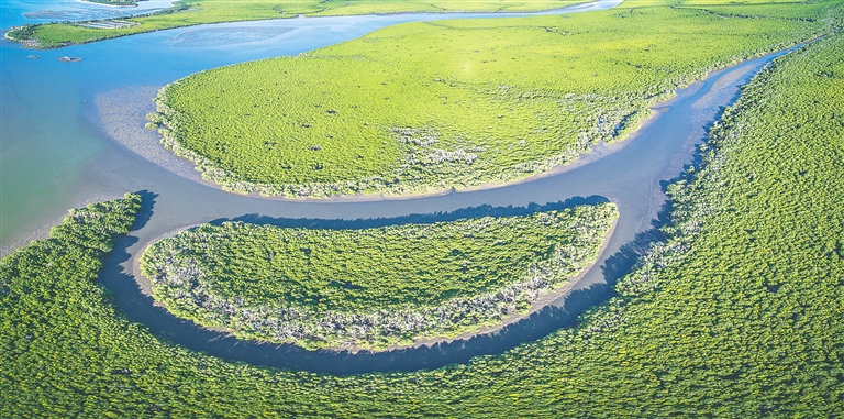海南岛最神秘海滩,海南珍珠海岸