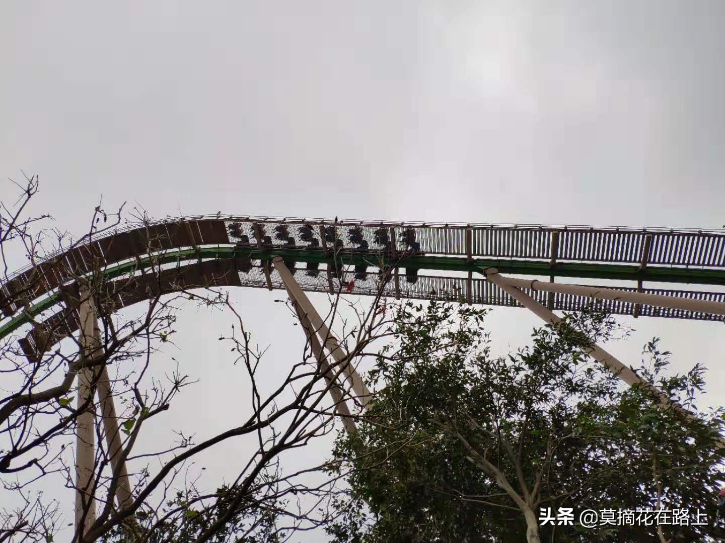 推荐去珠海长隆旅游的原因,一场说走就走的旅行珠海长隆