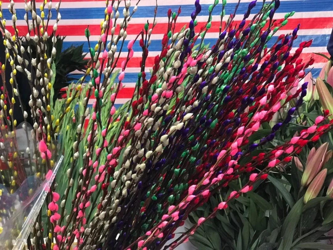 肇庆各区花市,2020肇庆市花市图片