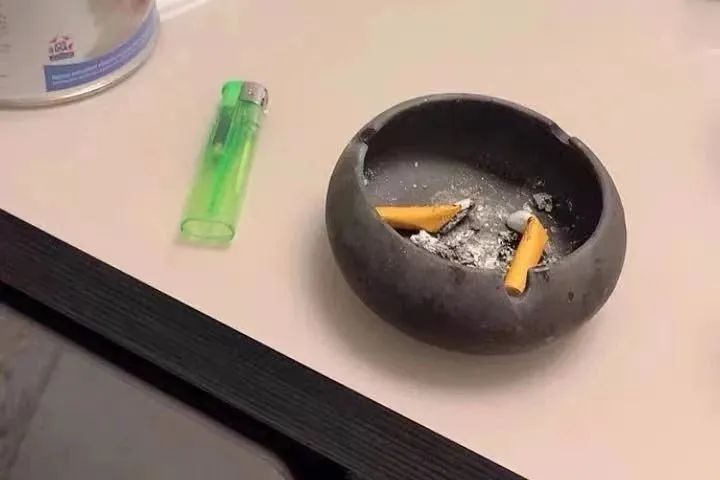 养花喷什么水能消灭虫子,养花有虫子自制杀虫剂杀菌