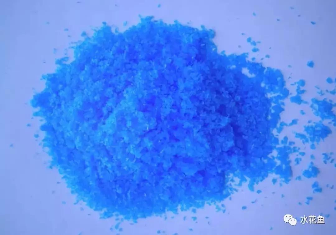 蓝藻爆发的正确处理方法,蓝藻爆发的原因及危害该如何处理