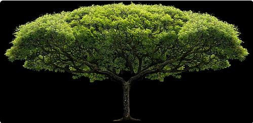 1寸照片标准尺寸怎么排版,标准寸照片制作教程