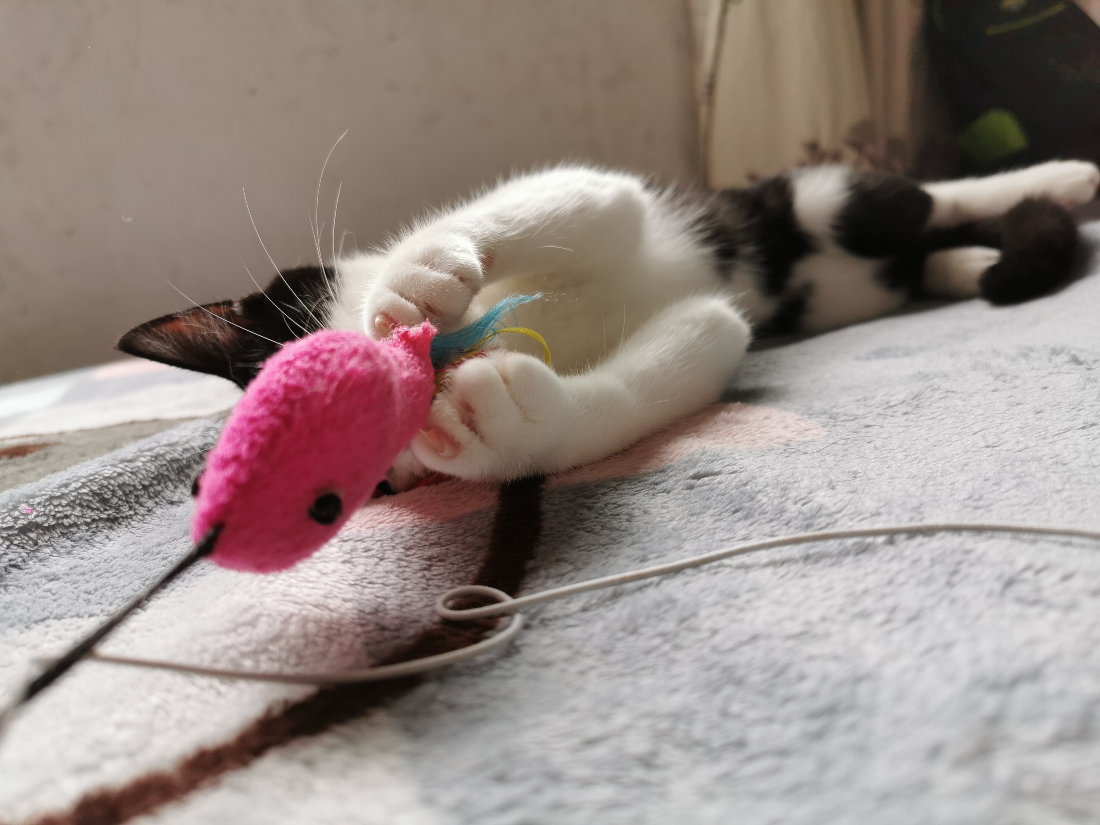 下雨天了我好想你歌词,下雨天了怎么办我好想你原版