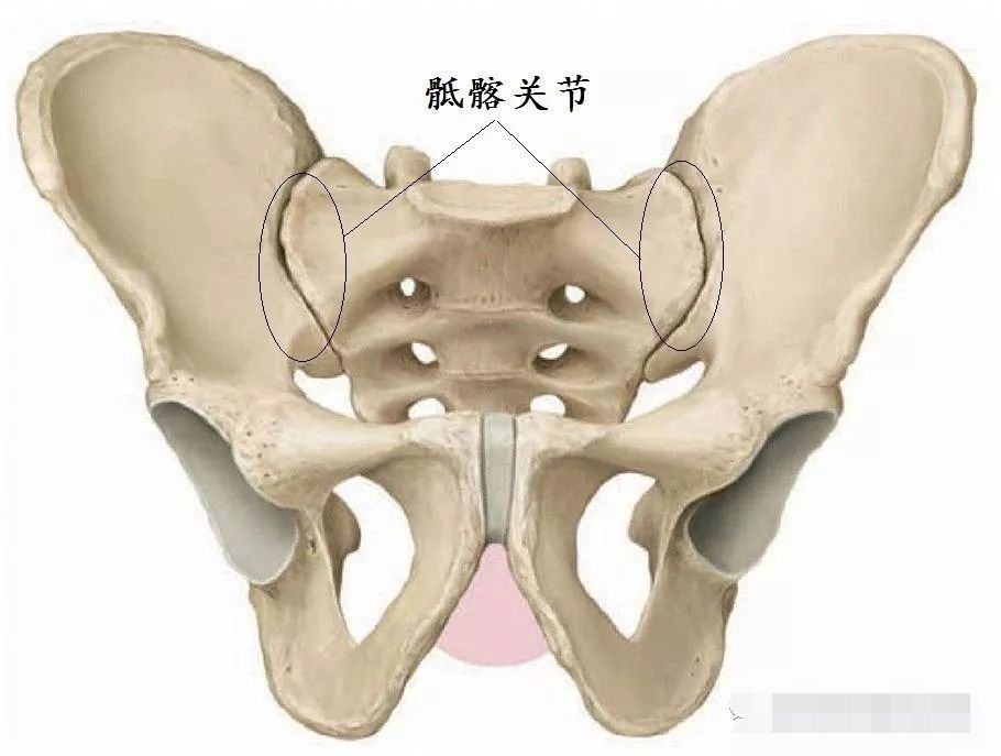 腰疼骶髂关节疼屁股疼,腰痛胯骨侧面痛屁股疼怎么回事