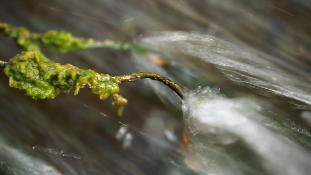 不可思议今非昔比,雁门关外的真相