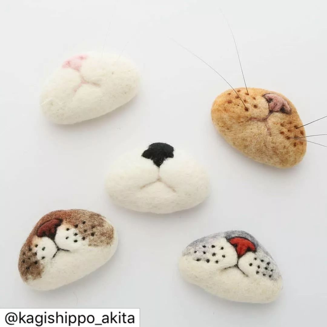 捡到猫胡子会带来好运吗,捡到猫的胡子真的会有好运吗