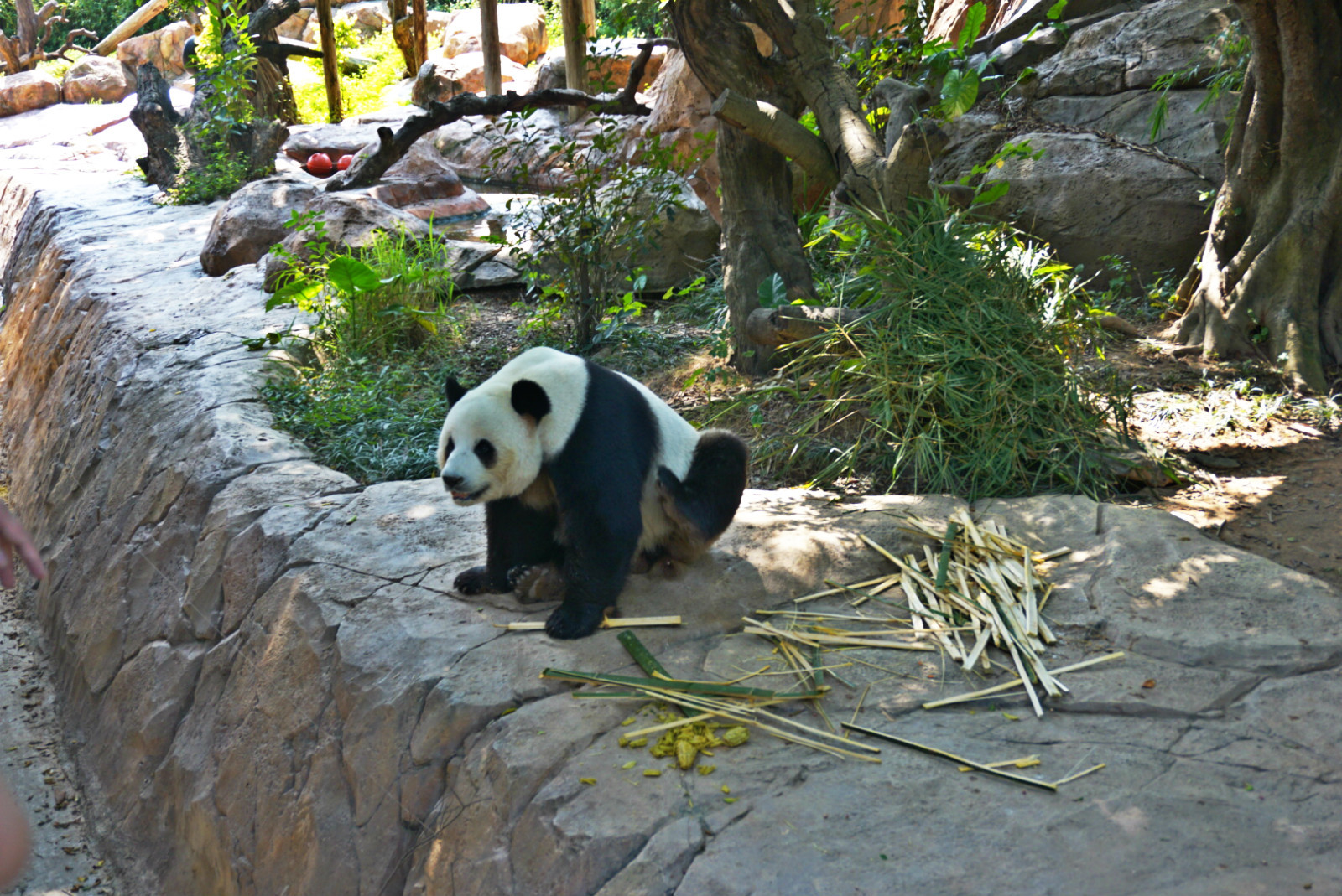 常州恐龙园和珠海长隆哪个好玩,珠海长隆海洋王国好玩吗