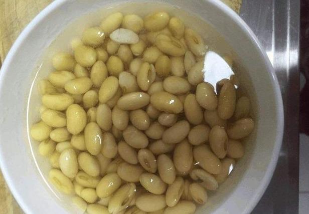 养绿萝,埋上几粒“煮豆豆”,胜过养花肥,油光锃亮爬满墙